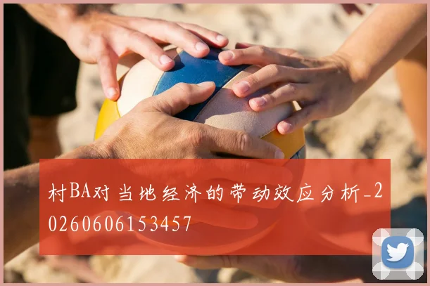 村BA对当地经济的带动效应分析_20260606153457