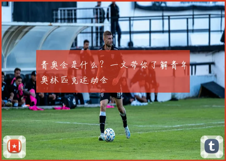 青奥会是什么?一文带你了解青年奥林匹克运动会